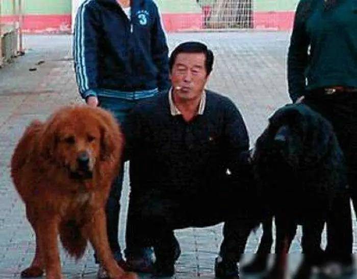 马家军教练马俊仁：跌下神坛后养狗赚千万，年过70重返俱乐部执
